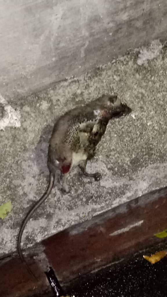 9db126f5-6695-44b6-b439-8be8117cf3f1